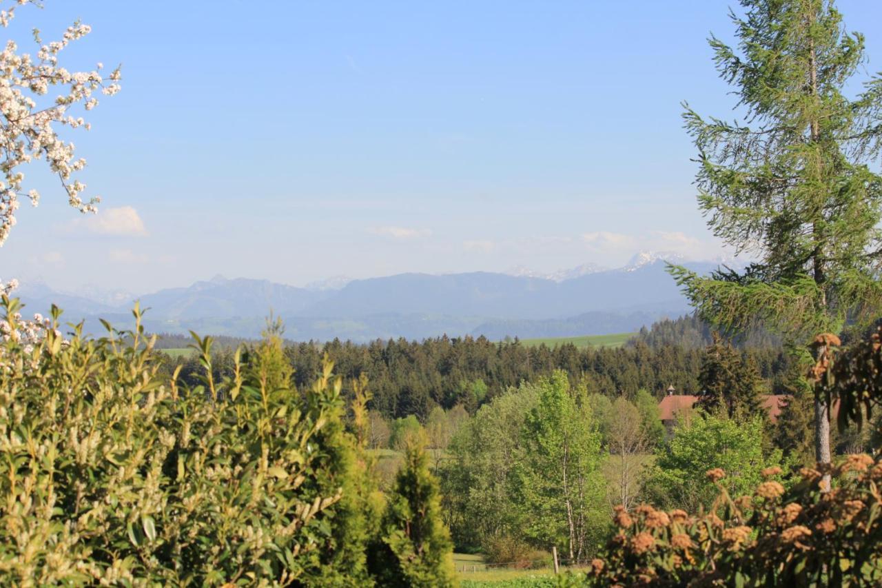 Ferienwohnung Kuh Heimat - Bergblick - Terrasse Buchenberg  Exterior foto