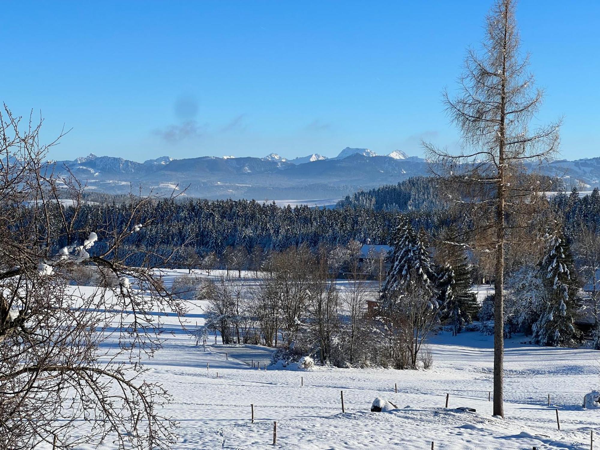 Ferienwohnung Kuh Heimat - Bergblick - Terrasse Buchenberg  Exterior foto